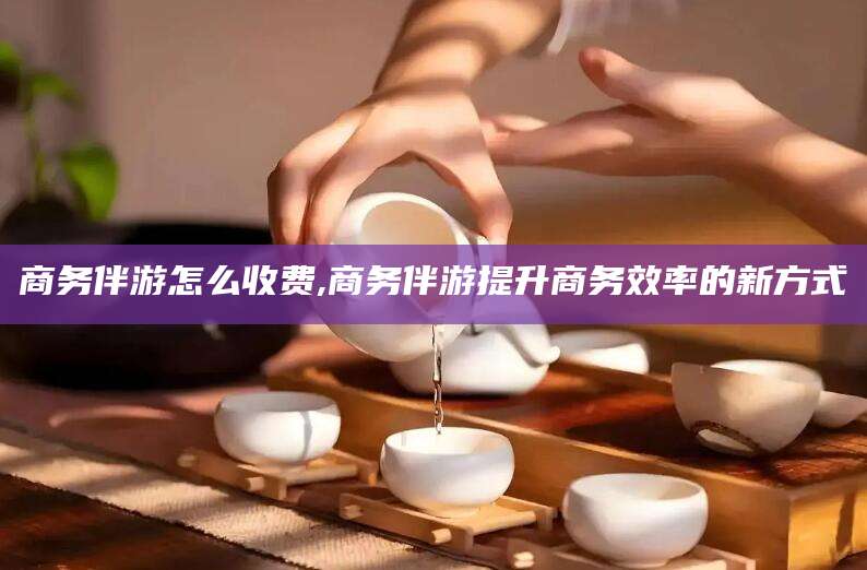 武汉商务伴游怎么收费,商务伴游提升商务效率的新方式